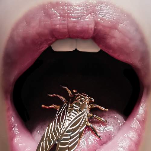 Photo #7562749