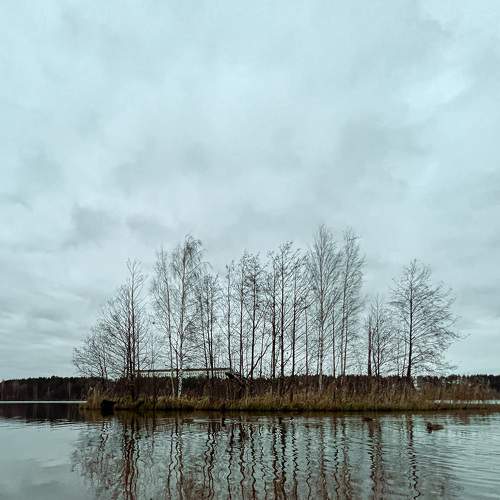 Photo #7562803