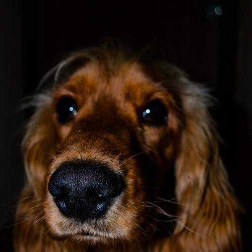 Photo #7563115