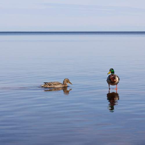Photo #7563154
