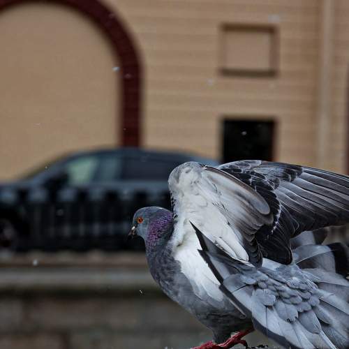 Photo #7563155