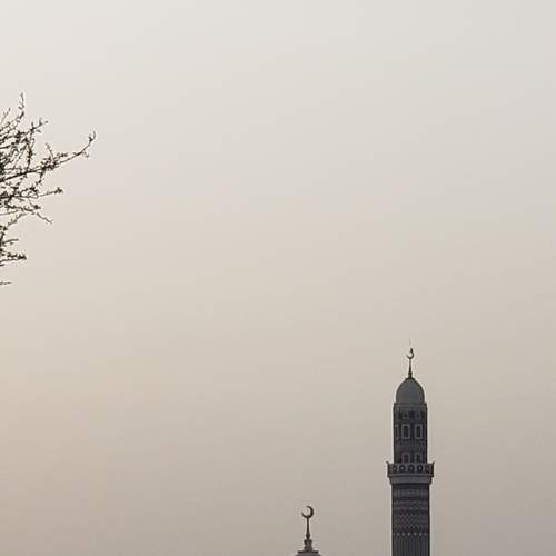 Photo #7563157