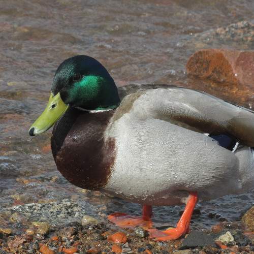 Photo #7563225