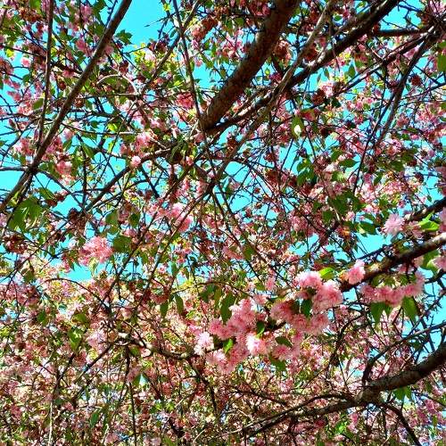 Photo #7563236