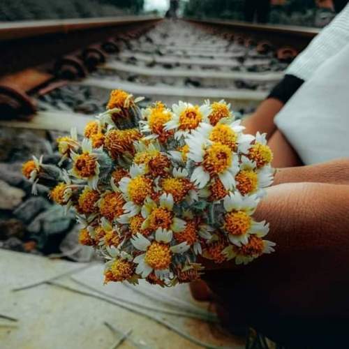 Photo #7563261