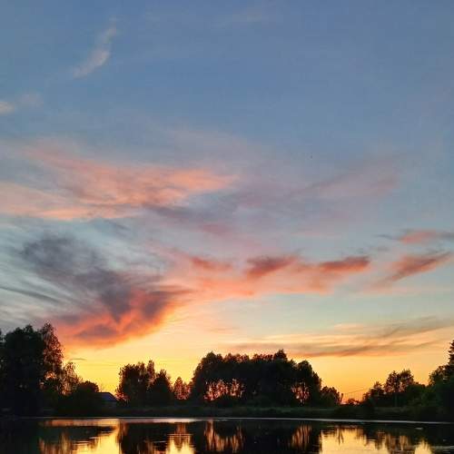 Photo #7563295