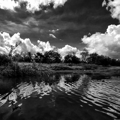 Photo #7563346