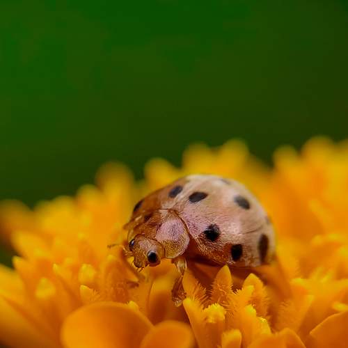 Photo #7563367
