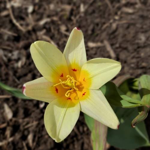 Photo #7563748