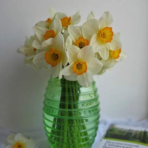 Photo #7563752