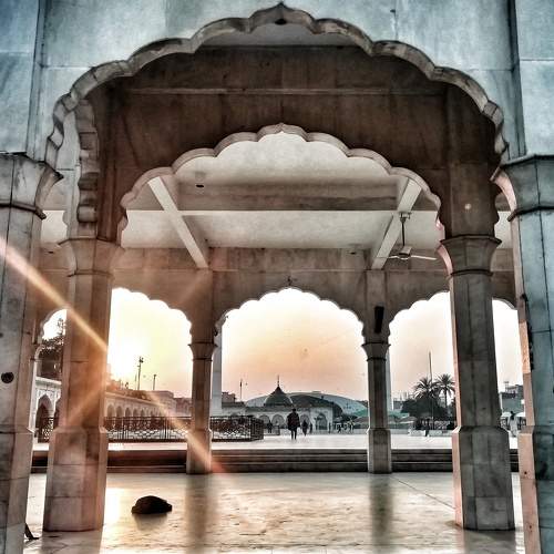 Photo #7563853