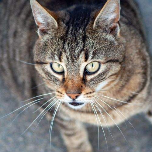 Photo #7564323
