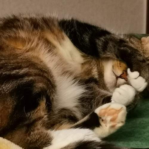 Photo #7564668