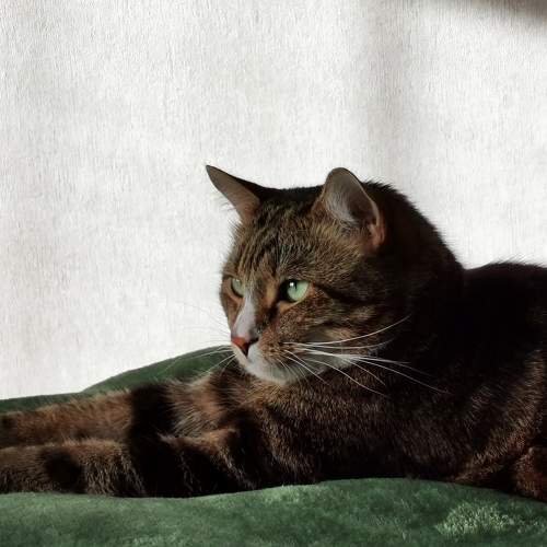 Photo #7564669