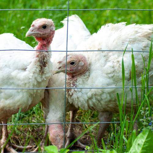 Photo #7565338