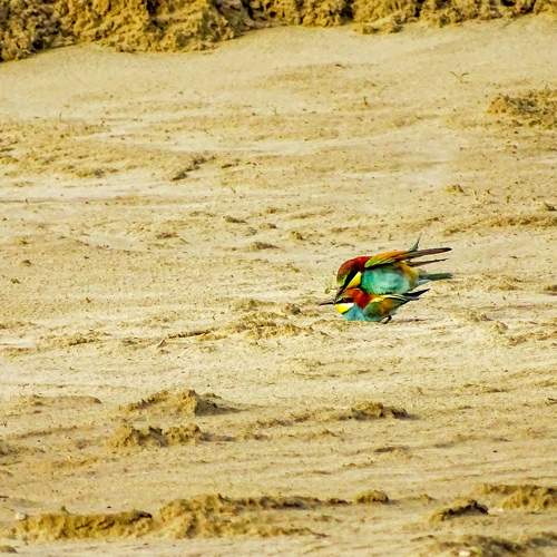 Photo #7565621