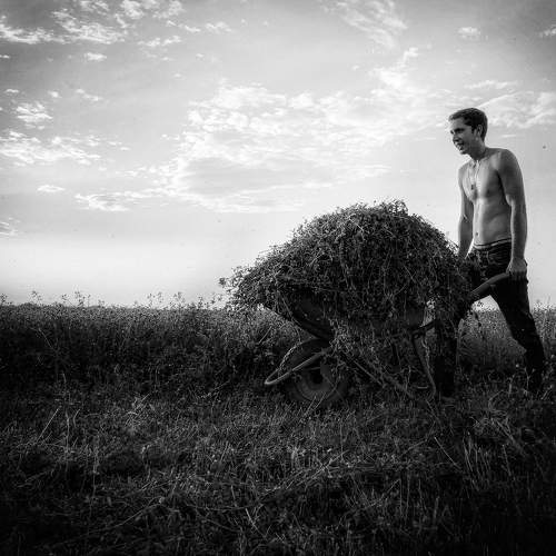 Photo #7565784