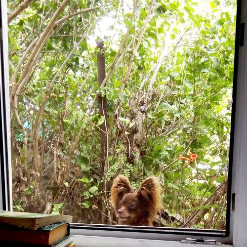 Photo #7565912
