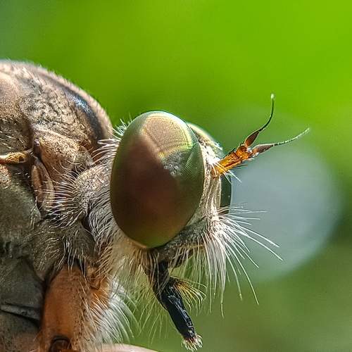 Photo #7566048