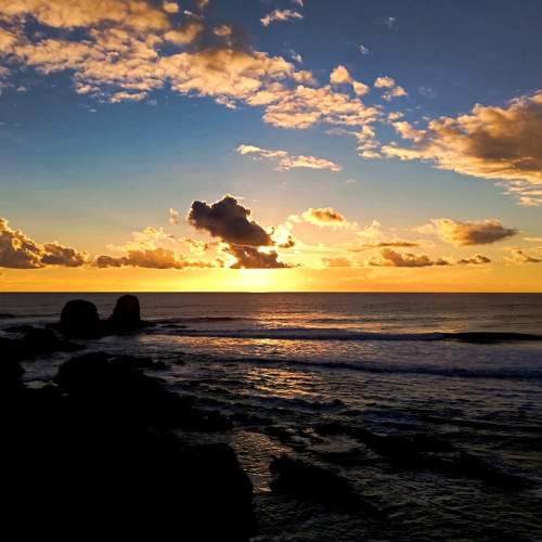 Photo #7566060