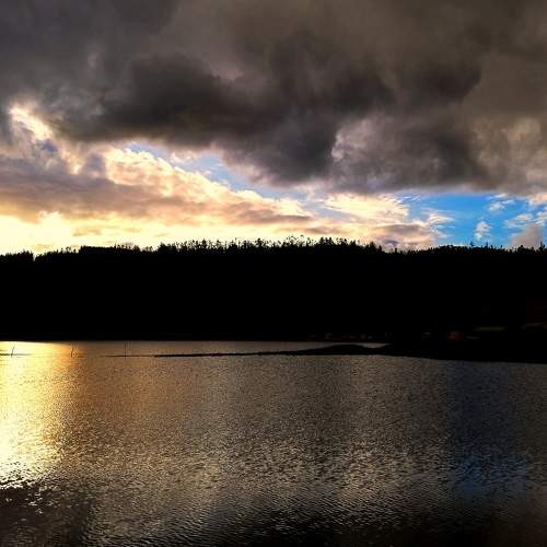 Photo #7566062