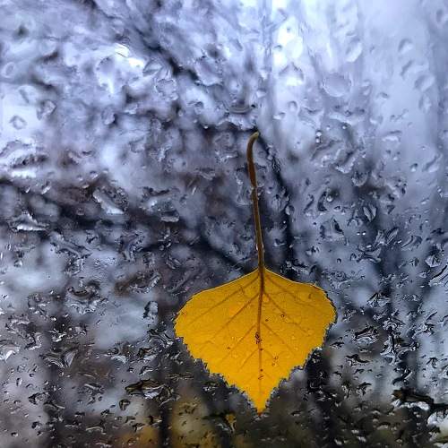 Photo #7566073