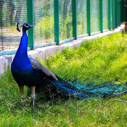 Photo #7566474