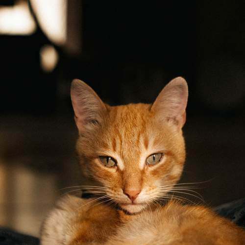 Photo #7566542