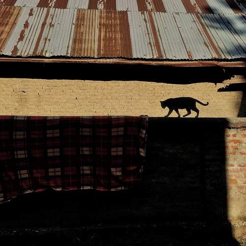 Photo #7566752