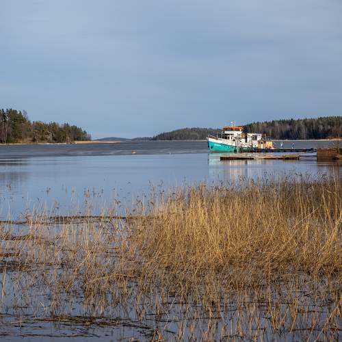 Photo #7566869