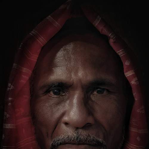 Photo #7566891