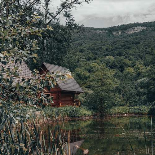 Photo #7567065