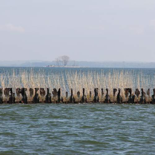 Photo #7567554