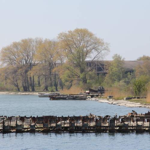 Photo #7567556