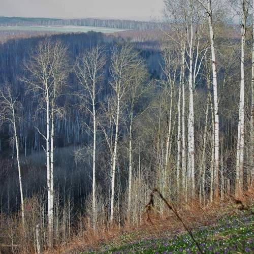 Photo #7567612