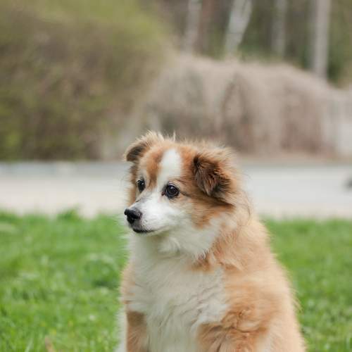 Photo #7567909