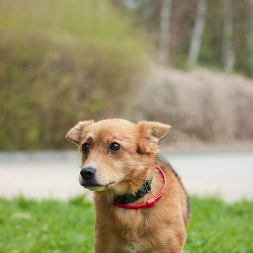 Photo #7567910
