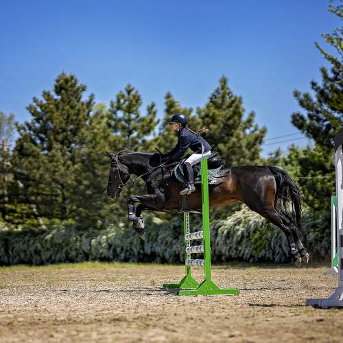 Фотография #7568321