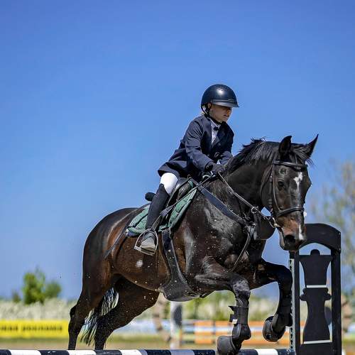 Фотография #7568324