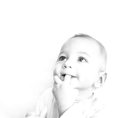 Photo #7568326