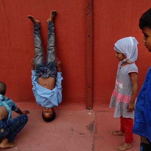 Photo #7568646