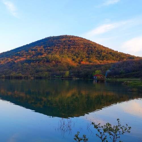 Photo #7568655