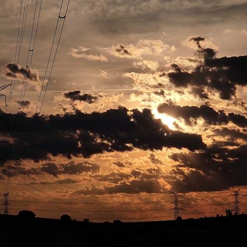Photo #7568670