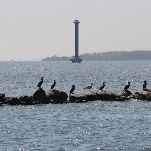 Photo #7568717