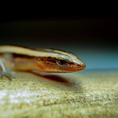 Photo #7568780