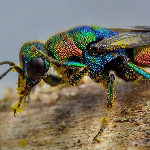Photo #7568800
