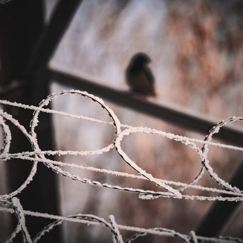 Photo #7568954