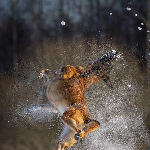 Photo #7569003