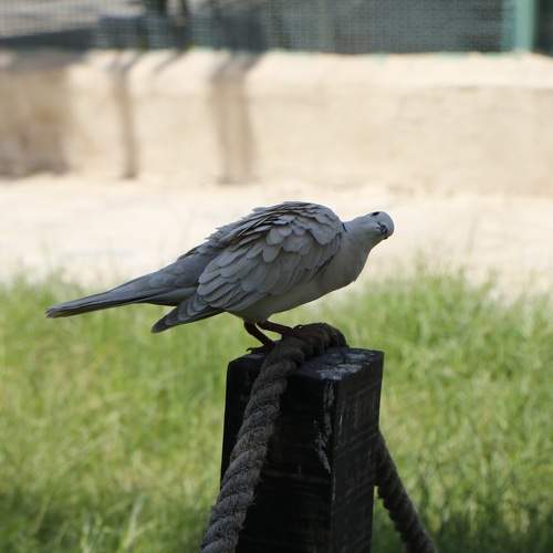 Photo #7569032