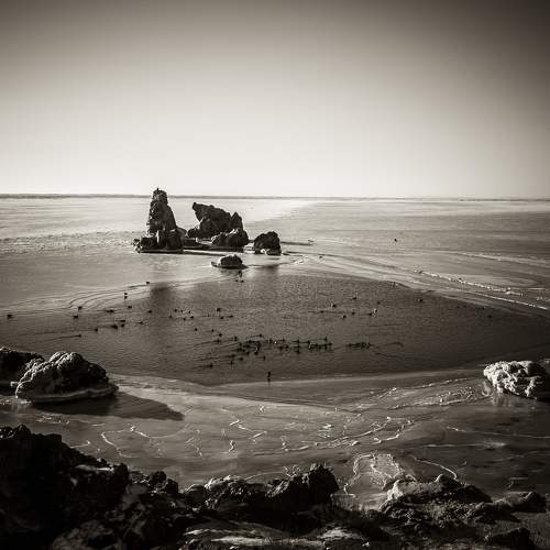 Photo #7569113